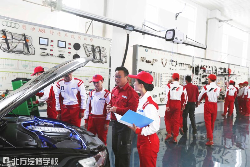 风电能源——新时代绿色发展的关键驱动力